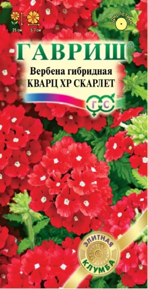 Семена Вербена Кварц ХР Скарлет гибридная 5шт Одн 25см (Гавриш) Элитная клумба