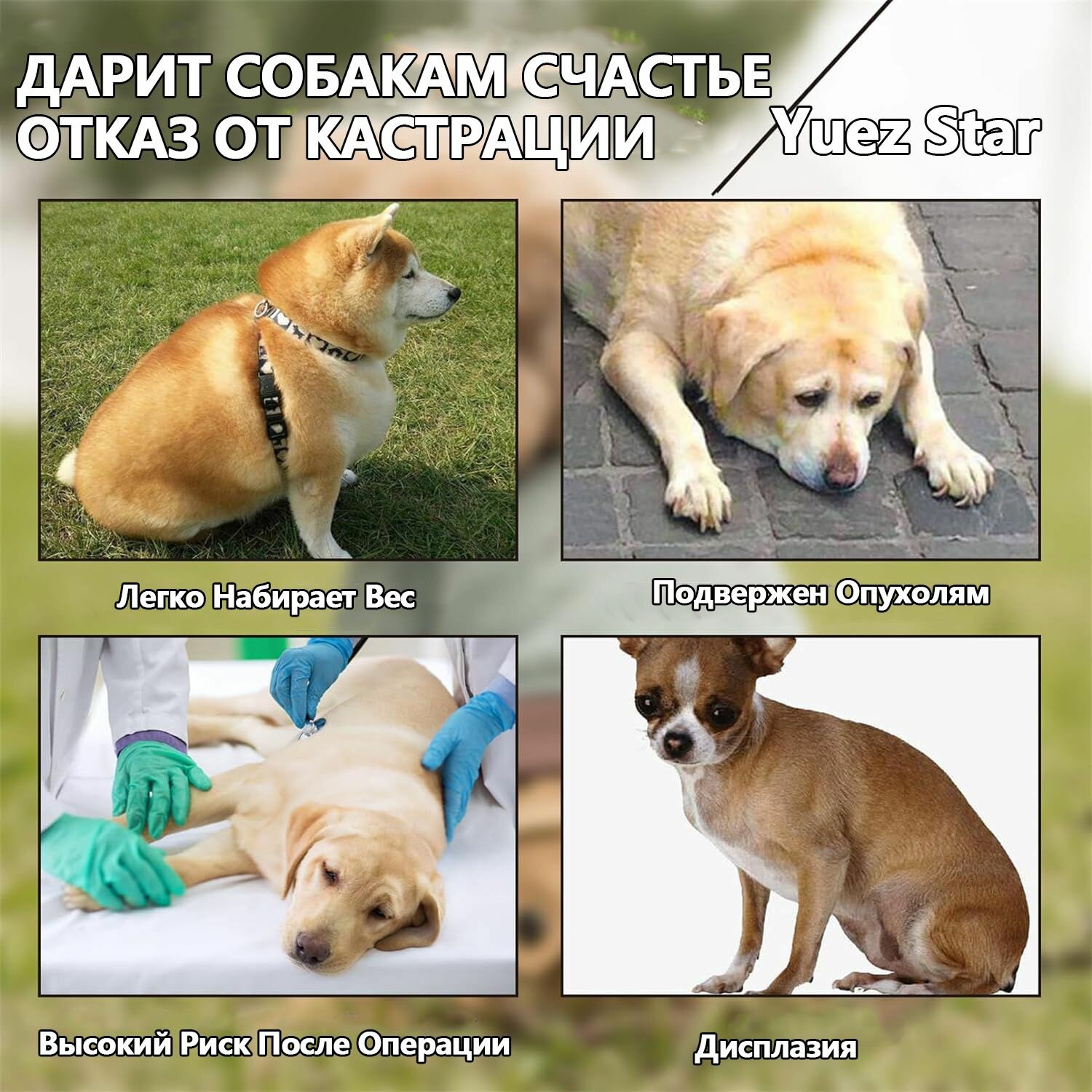  секс с собакой Секс кукла для собак, Игрушки для животных, Игрушки для кобелей в период  течки, спаривания — купить в интернет-магазине ozoen222 на Яндекс Маркете