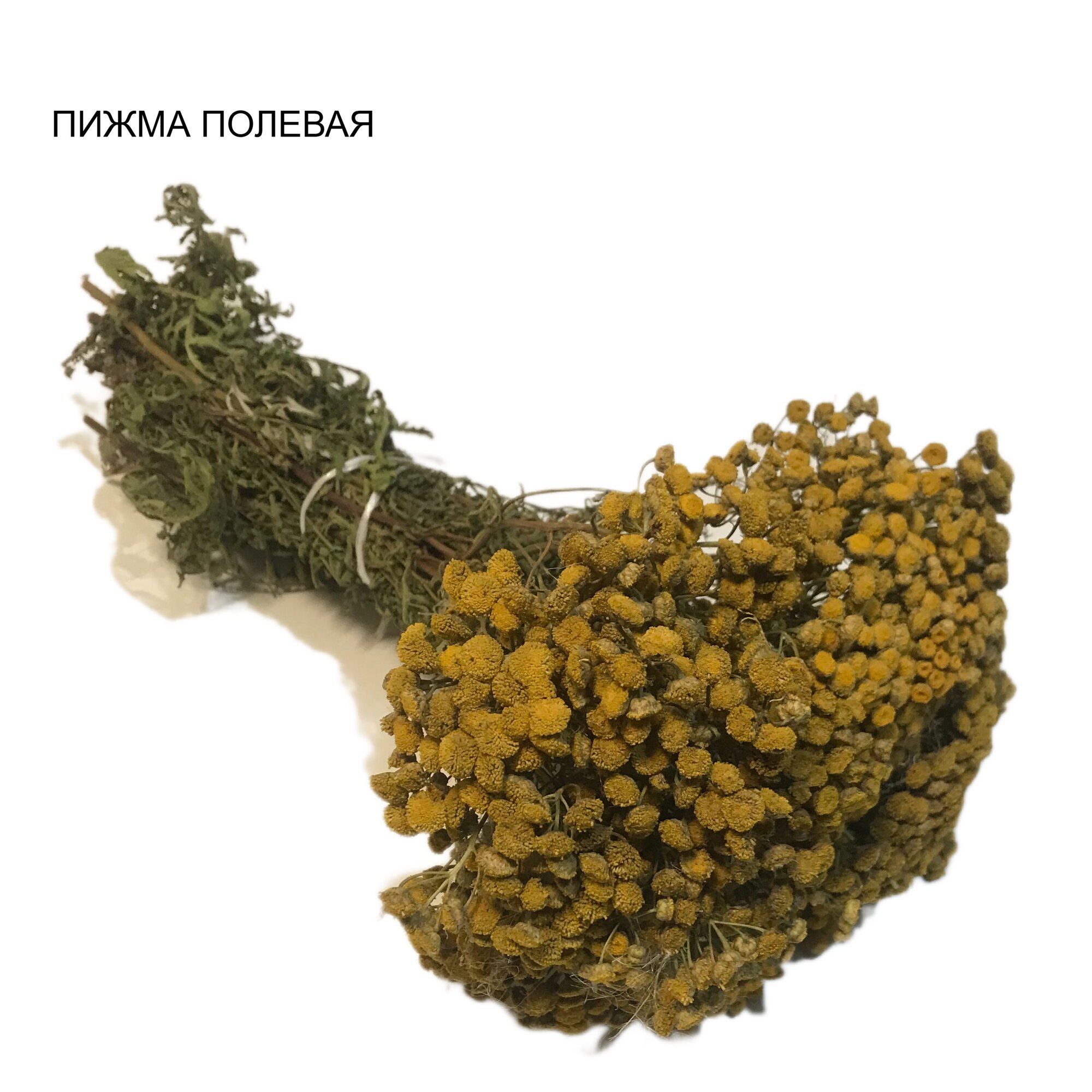 Трава для бани "Пижма полевая" аромат летнего поля , от бренда Милая Баня- 1 шт.