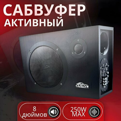 Сабвуфер напольный со встроенным усилителем 250W 8 дюймов провода в комплекте 4488₽