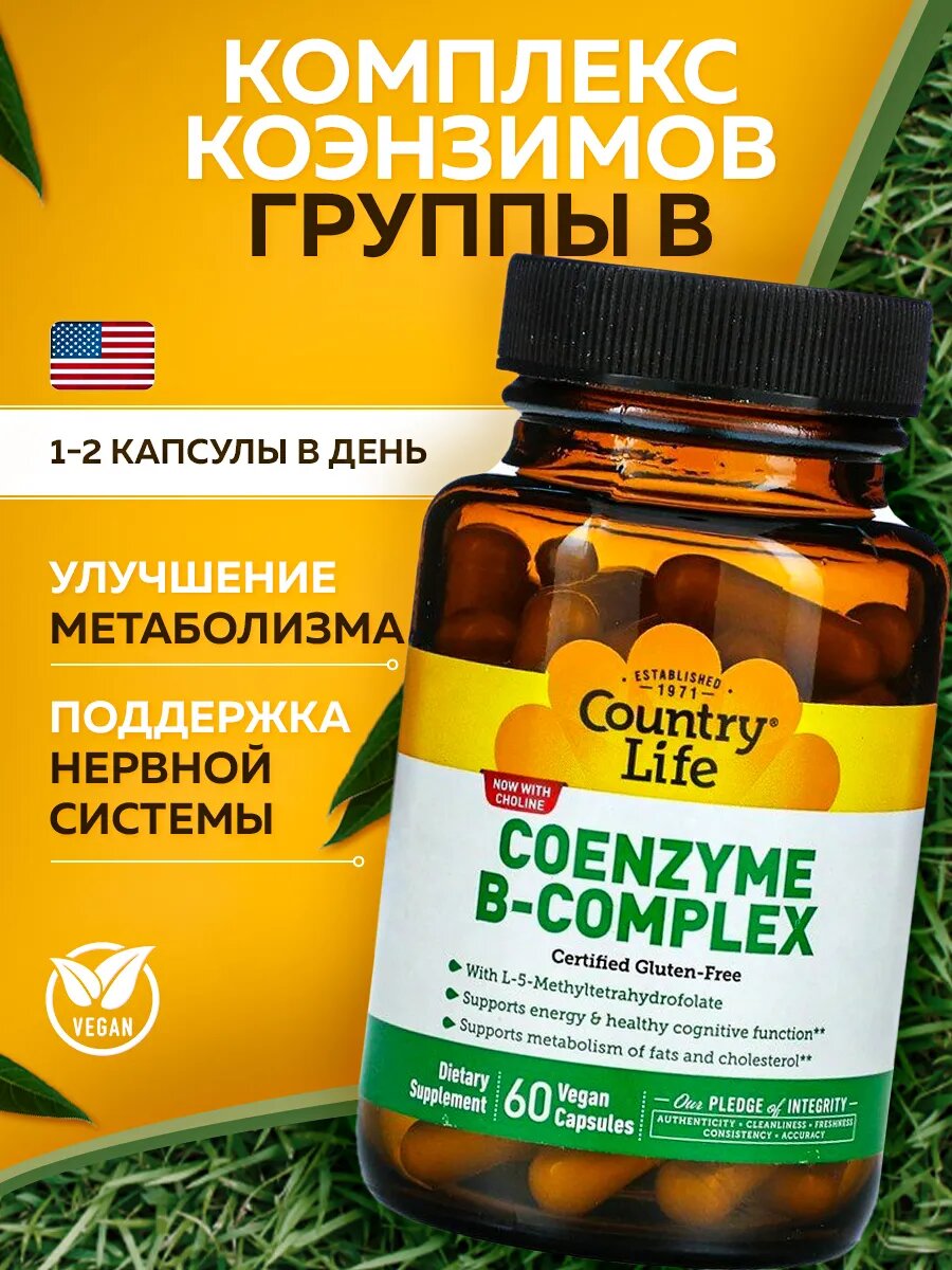 Coenzyme B Complex Комплекс коэнзимов группы B  60 штук