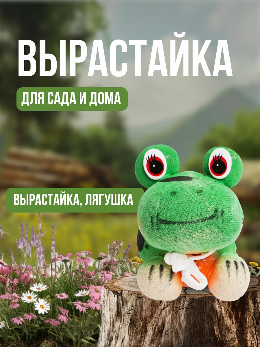 Вырастайка  лягушка