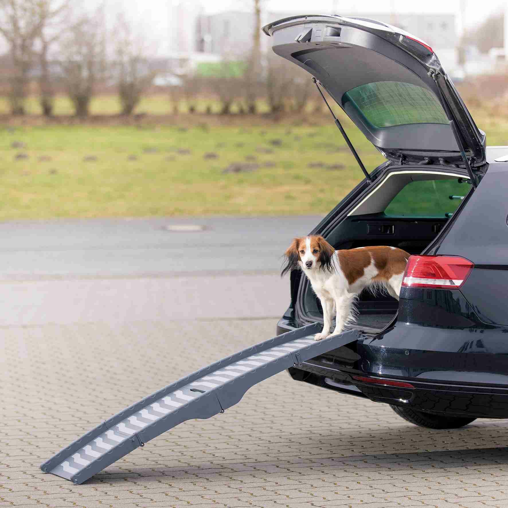 Пандус для собак Trixie Petwalk Folding Ramp, размер 39х150см, серый