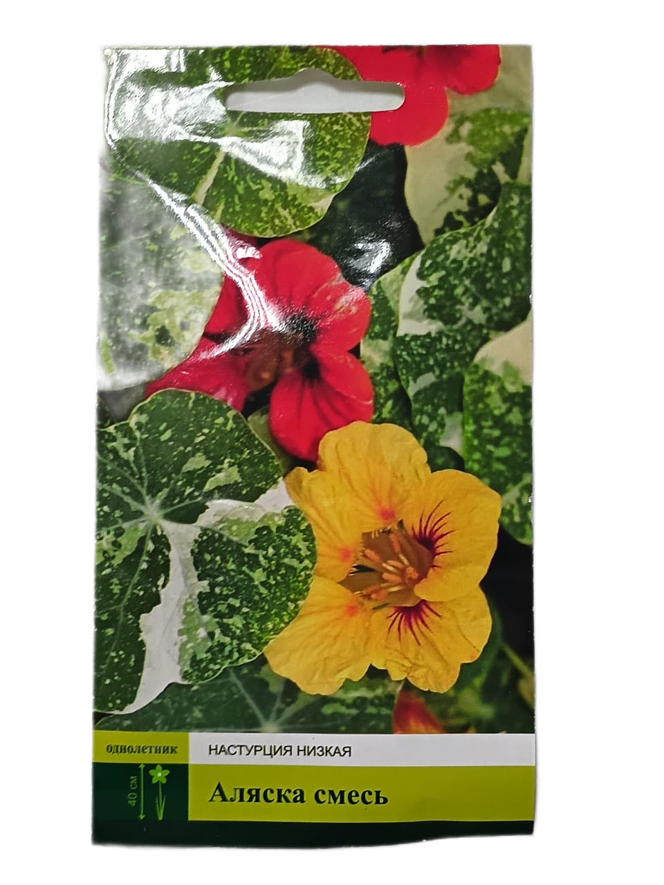 Семена Настурция аляска 9шт для дачи сада огорода теплицы / рассады в домашних условиях