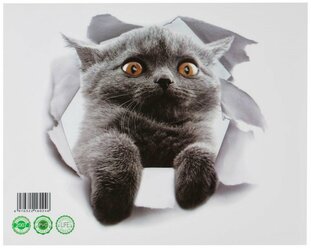 Наклейка интерьерная 3D "Кошка шотландская" на стену, 25 х 23 см, влагостойкая, ПВХ