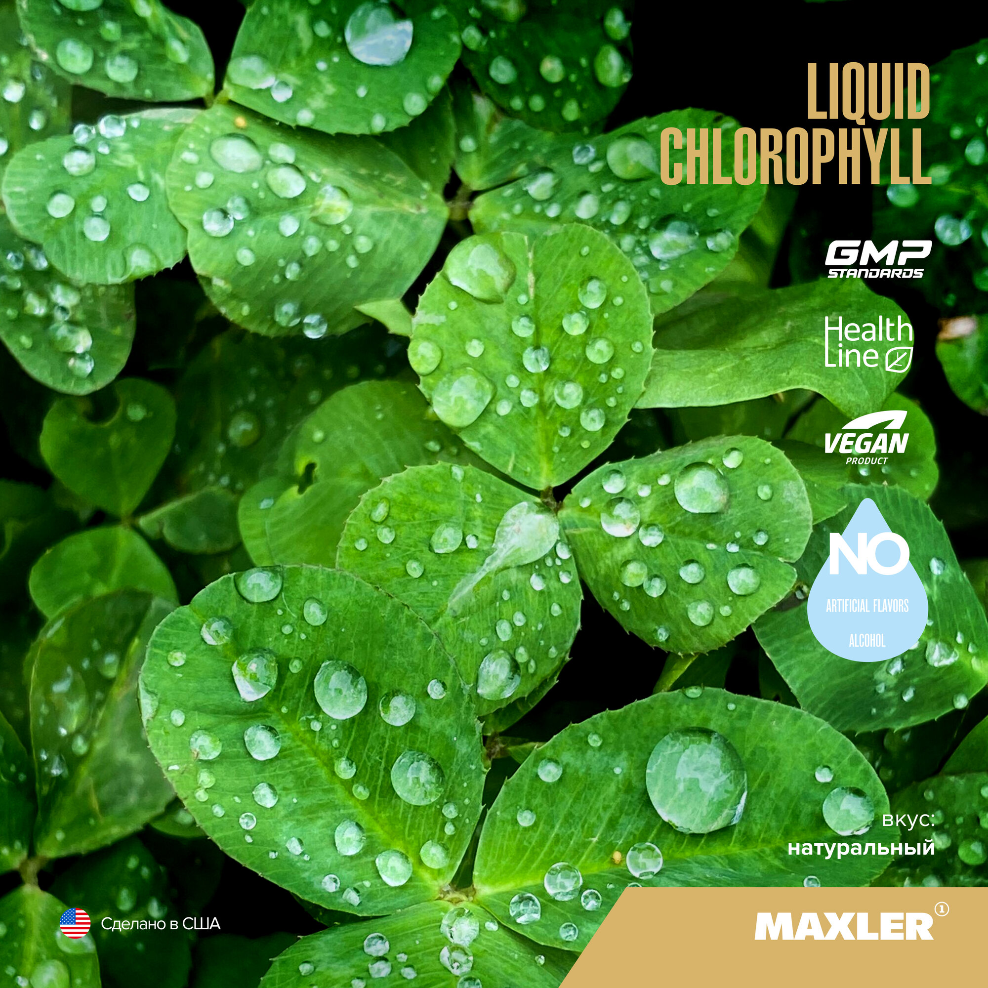 Изображение Хлорофилл жидкий Maxler Liquid Chlorophyll Vegan Product, 450 мл - Натуральный