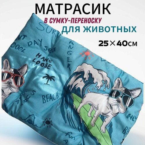 Матрас-лежанка для переноски LiFashionLy, текстиль, для кошек и мелких пород собак, 25x40 см, голубой