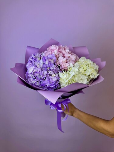 Изображение товара ТОП Букет Разноцветная гортензия трио из розовой фиолетовой и белой гортензии.