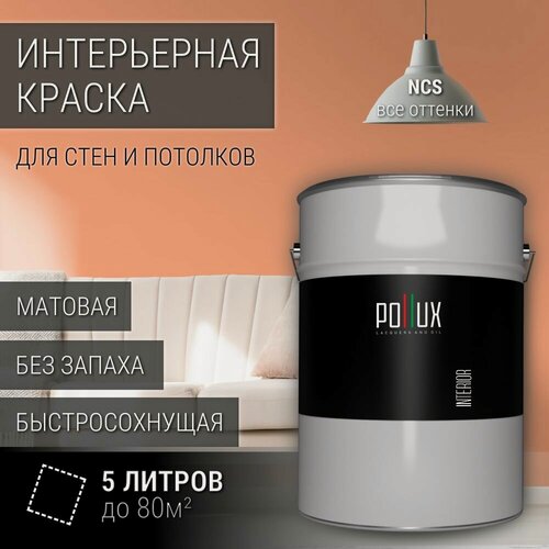 Изображение товара Краска моющаяся интерьерная для стен и потолков, Pollux INTERIOR без запаха, быстросохнущая, акриловая, матовое покрытие, цвет NCS S 1040-Y60R, 5л.