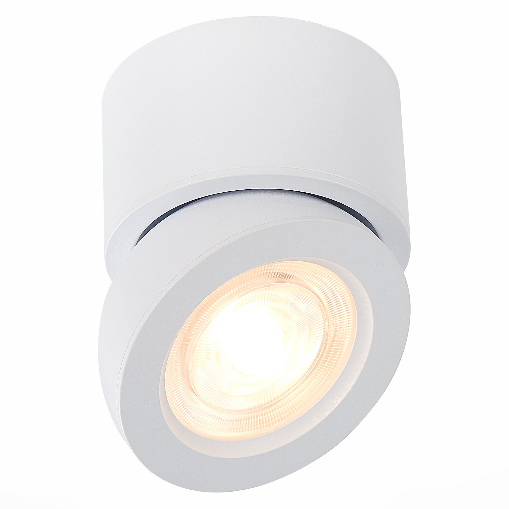Светильник потолочный светодиодный ST LUCE цвет белый в стиле High-tech цоколь LED ламп 1х10W, ST654.532.10