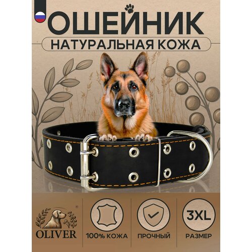 Ошейник для собак Oliver из натуральной кожи на мягкой подкладке из синтепона / 3XL / Черный