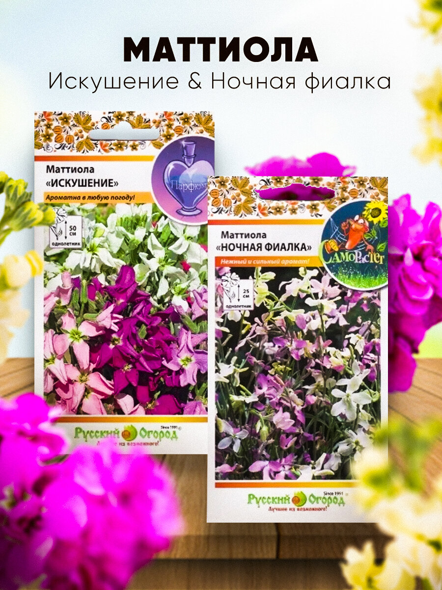 Маттиола крупноцветная Искушение смесь 12шт семян + Маттиола Ночная фиалка смесь окрасок 03г семян