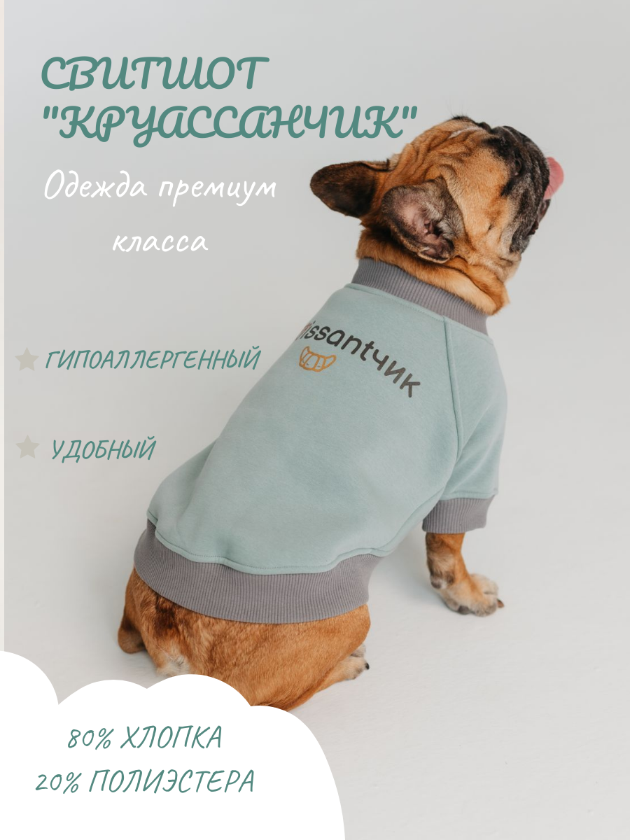 Свитшот для собак. Толстовка для французского бульдога.