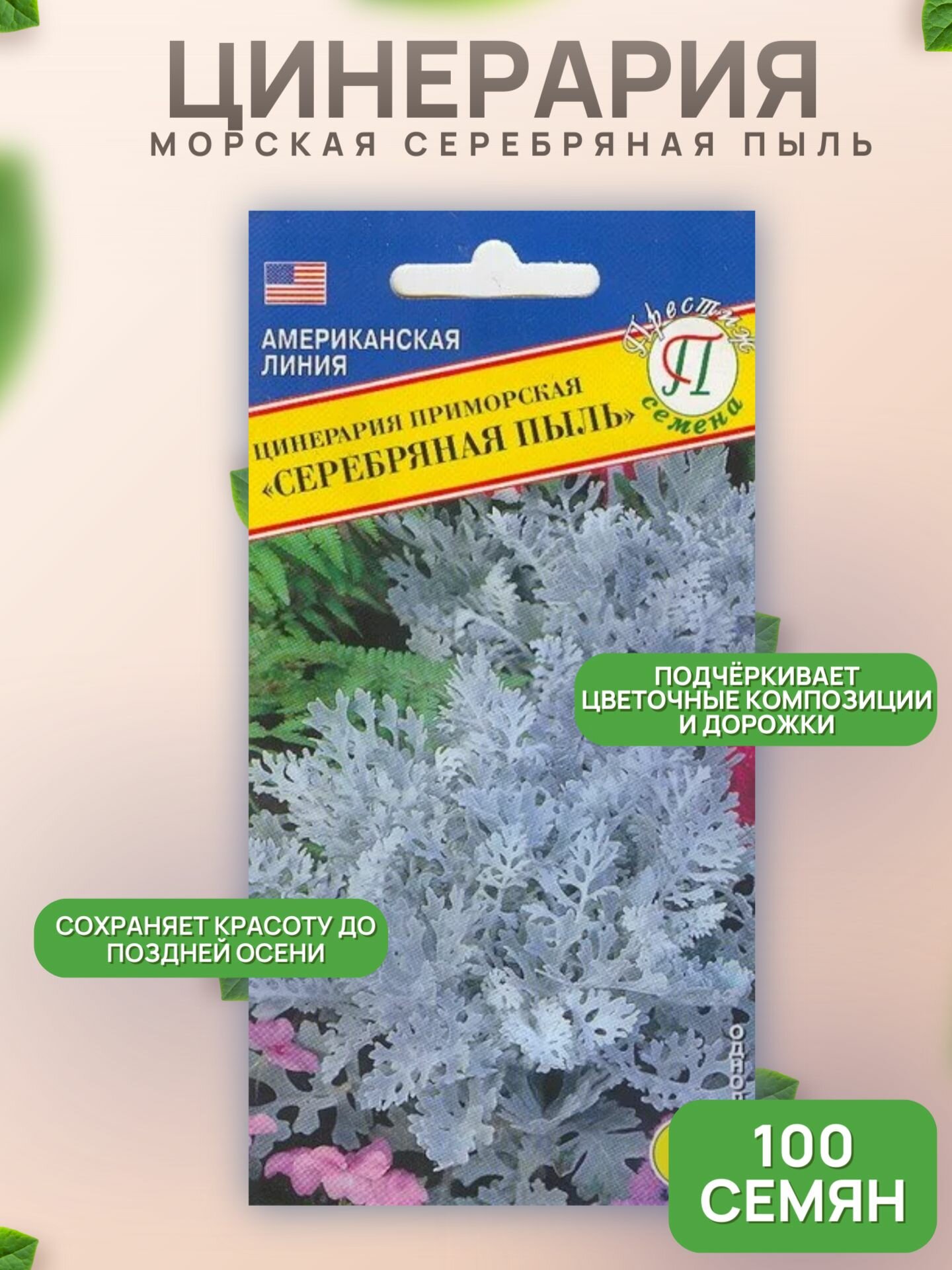 Цинерария морская Серебряная пыль 100семян /Престиж