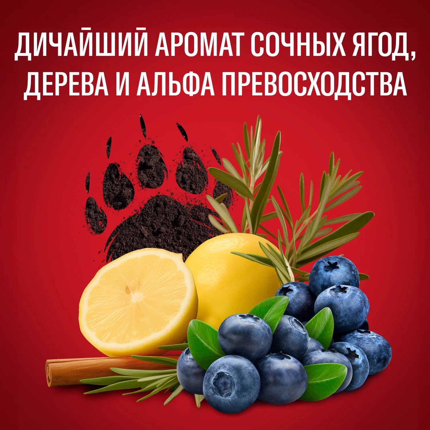 Гель для душа Old Spice Bearglove 3в1, 400мл, мужской, аромат ягод и сандала — фото 1
