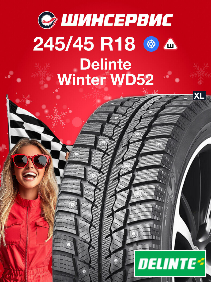 Зимняя шипованная шина Delinte Winter WD52 245/45 R18 100H