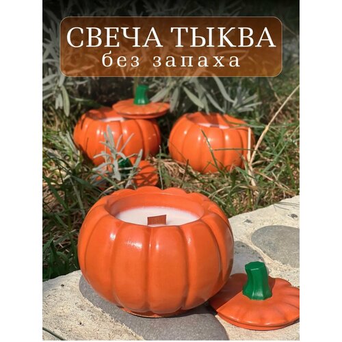 Ароматическая тыква Тыква без запаха