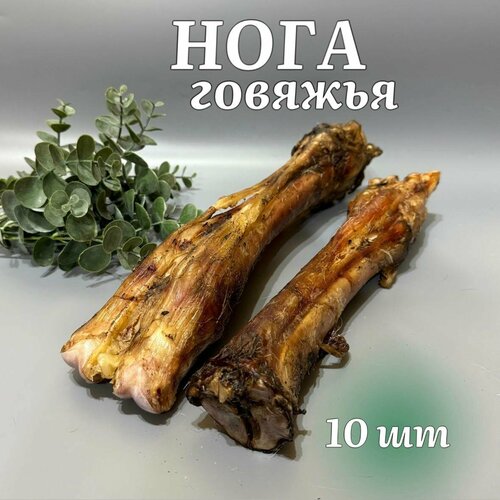 Лакомства для собак "Хищный нос" - Нога говяжья 10 шт
