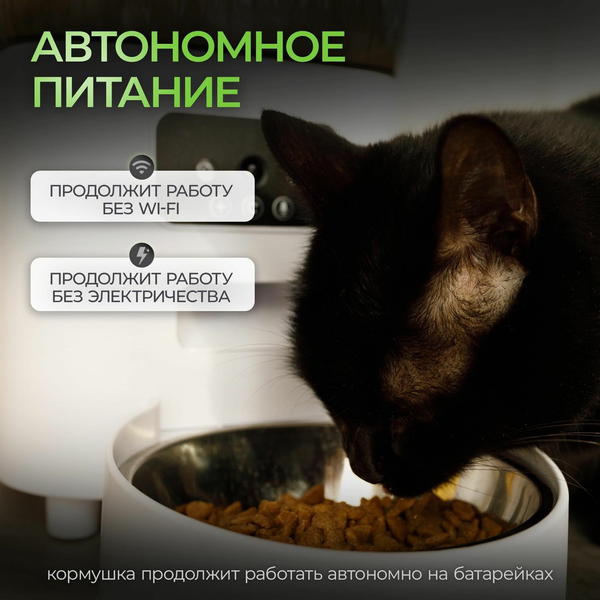 Автокормушка V — фото 1