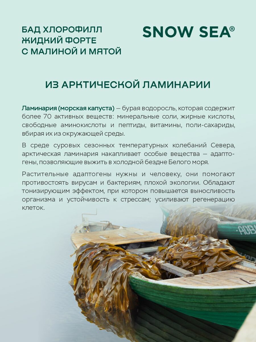 БАД Хлорофилл жидкий для ЖКТ и детокса и похудения, 450 мл. АВ1918 - фото №8