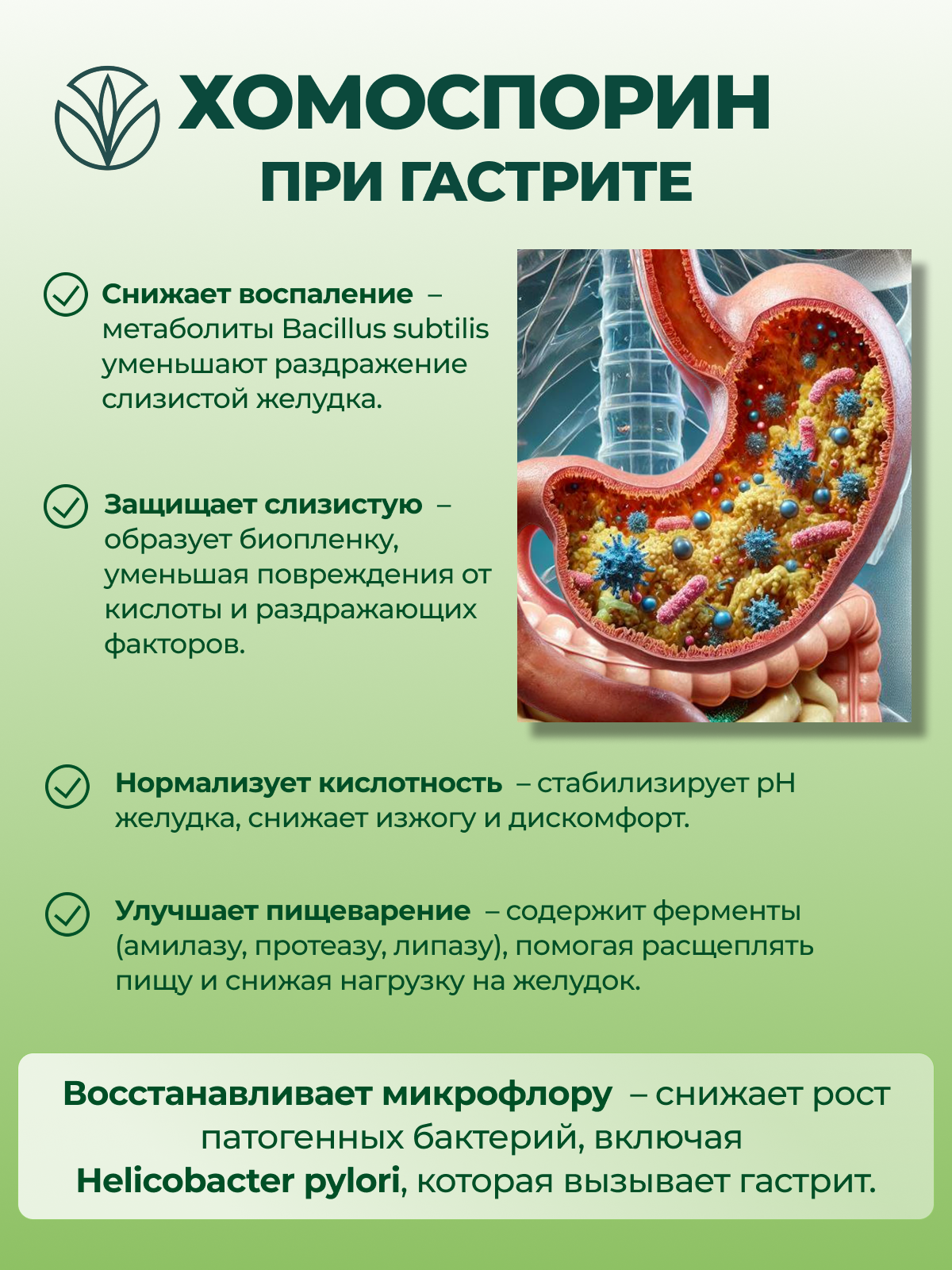 Пробиотики И Пребиотики Пробиотик Хомоспорин Форте - Метабиотик для детей и для взрослых ,100 мл - 1 шт