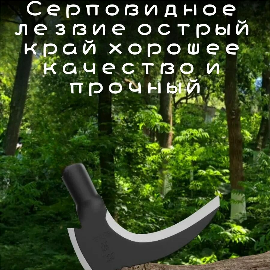 Изображение Серп