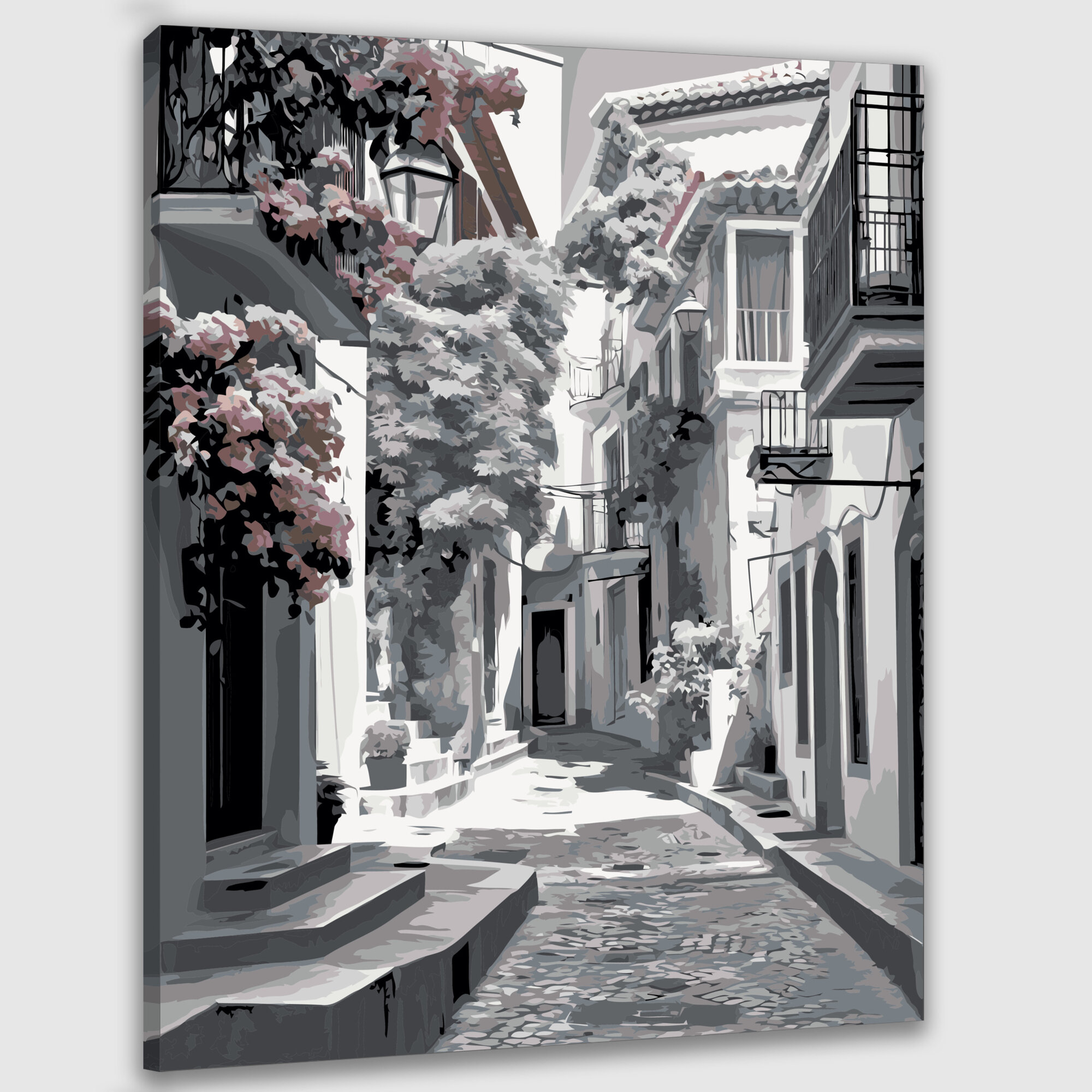 Картина по номерам 40x50 см, Черно-белая фотография, Плака, Афины, Греция, узкие улочки, традиционные дома, яркие цветы