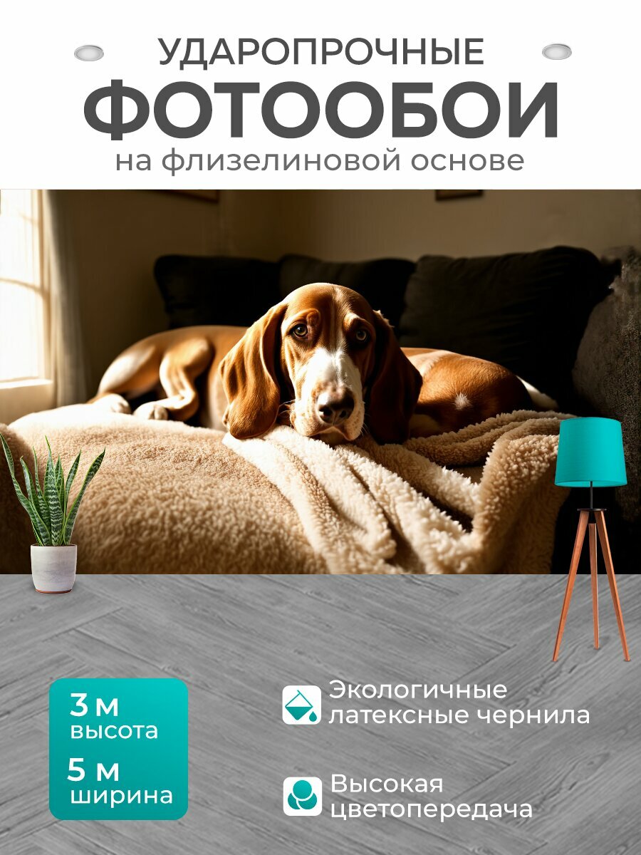 Фотообои моющиеся ударопрочные "Бассет-хаунд, обнимающий мягкий плед, обосновался на уютном диване в светлом помещении, где атмосфера буквально" 400x300 см. флизелиновые на стену