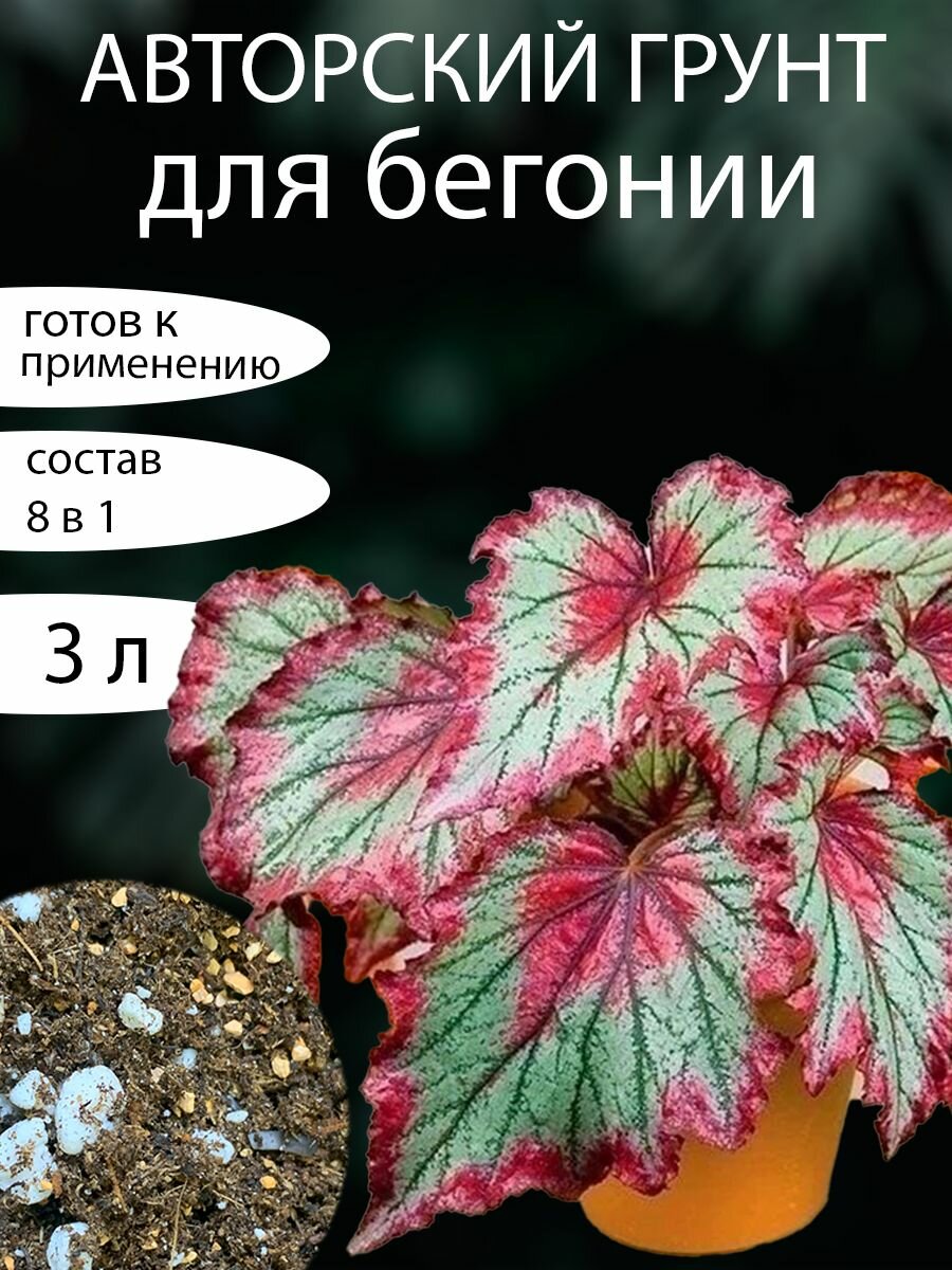 Грунт для Бегонии 3л