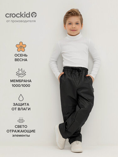 Изображение товара Брюки утеплённые ВК 46015/25/1 УЗГ