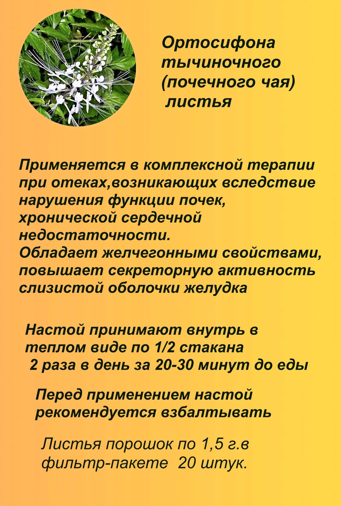 Картинки Ортосифона тычиночного (почечного чая) травяной сбор 20 фильтр-пакетов