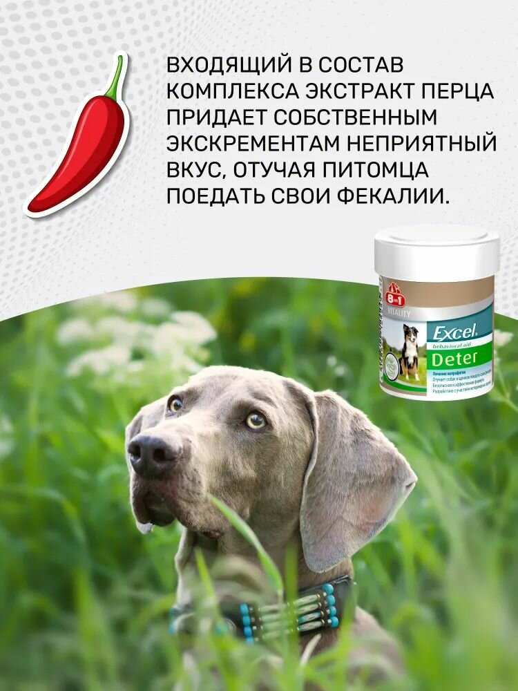 8in1 Добавка к корму Excel Deter для отучения собак от поедания фекалий, 100 таблеток — фото 1