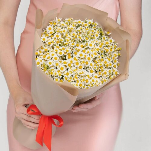 Изображение товара Букет Мегацвет24 "25 Кустовых Ромашек", кремовые, в дизайнерской упаковке