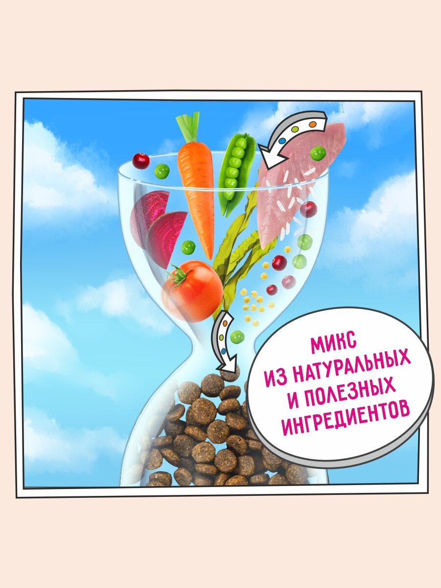 Корм для кошек сухой с чувствительным пищеварением 400 г, гипоаллергенный ZILLII (Зилли), Индейка — фото 1