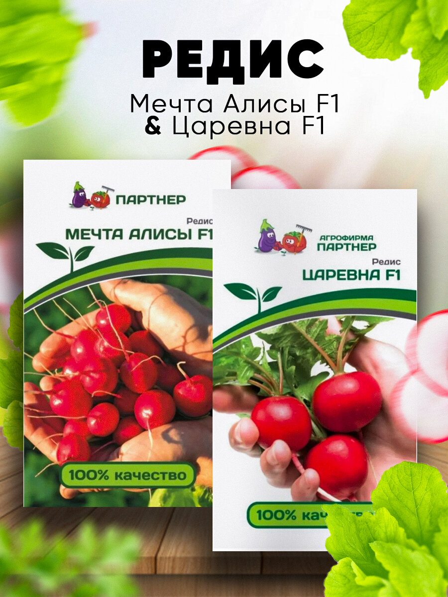 Редис Мечта Алисы F1 и Царевна F1 2 пакета