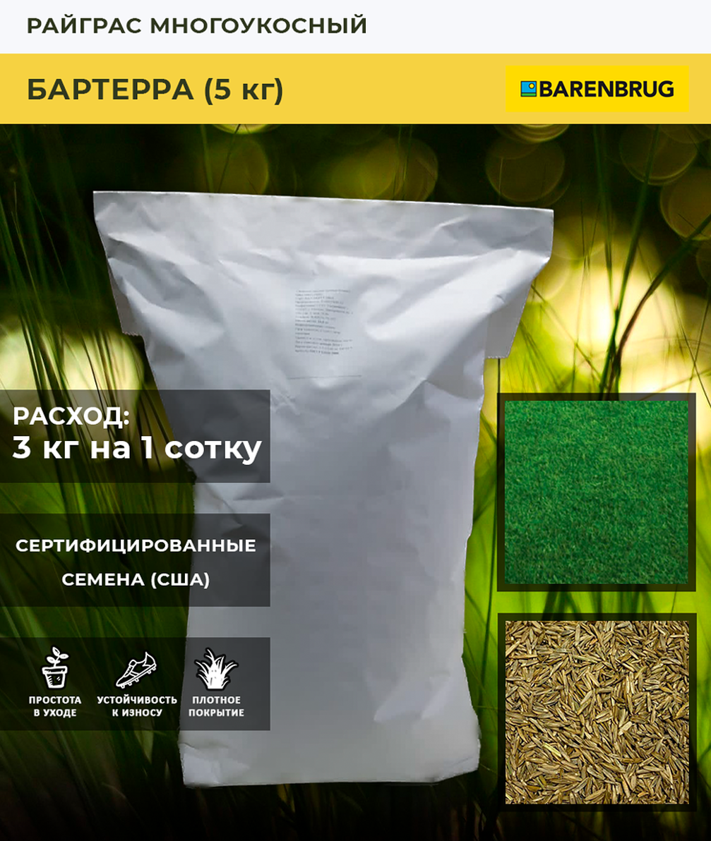 Семена газонной травы BARENBRUG Райграс многоукосный Бартерра  5 кг
