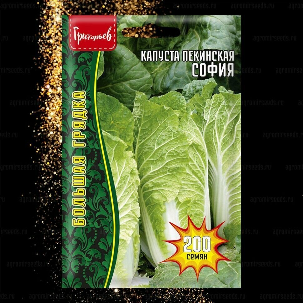 Капуста пекинская София 200 семян /Редкие семена