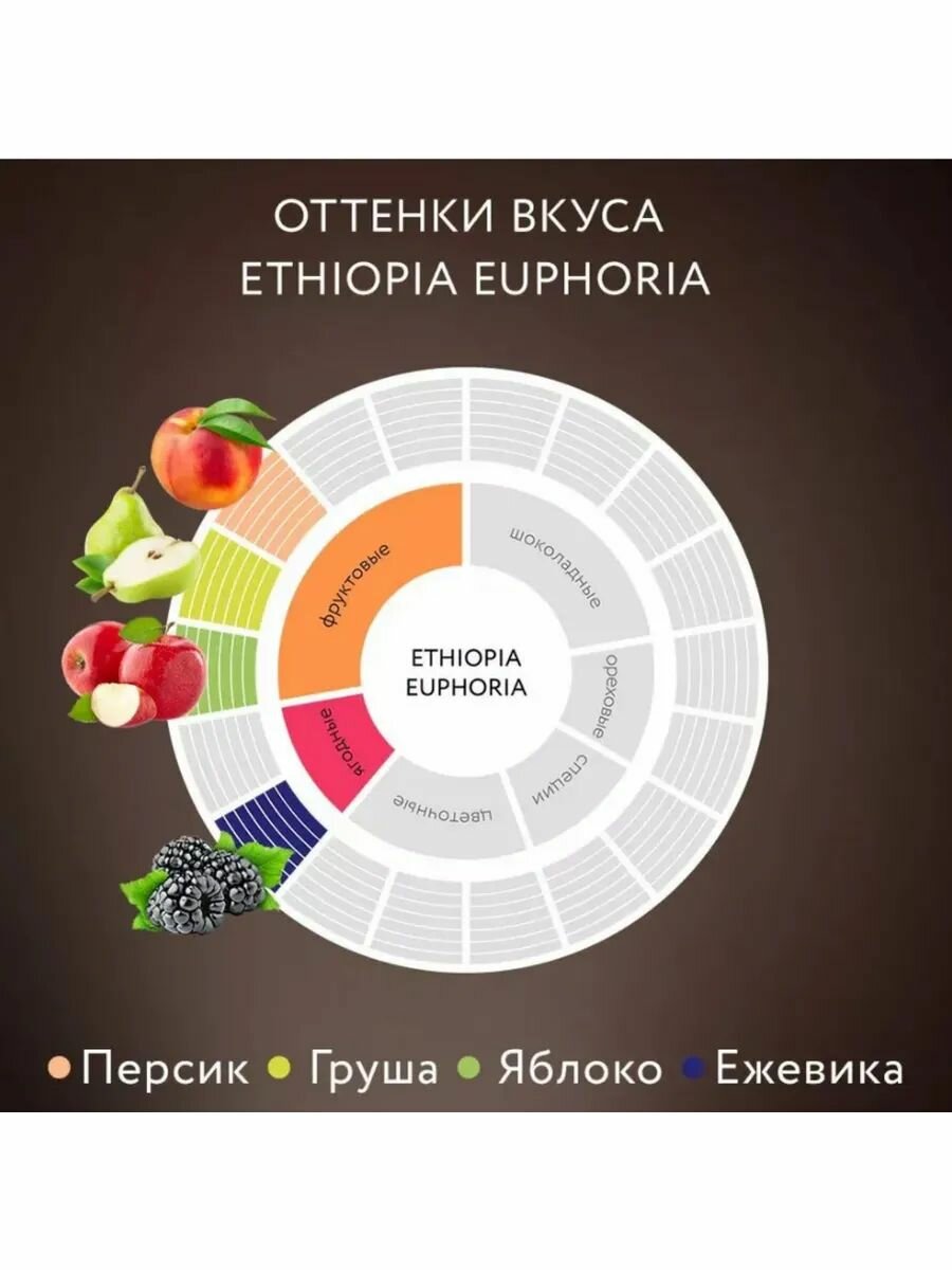 Кофе в зернах Jardin Ethiopia Euphoria ( Арабика 100%) 1 кг. — фото 1