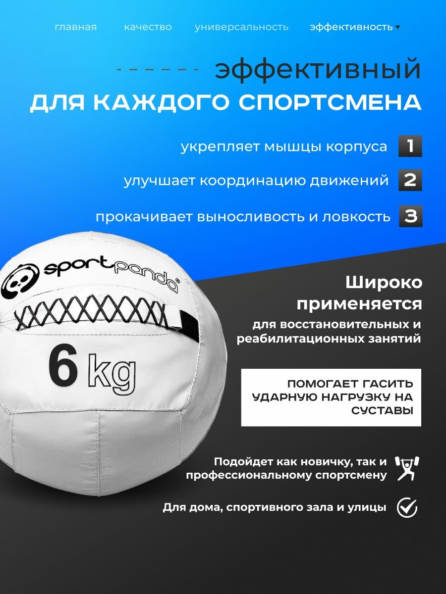 Медбол SportPanda, ПВХ, диаметр 38 см, 6 кг, армированные швы — фото 1