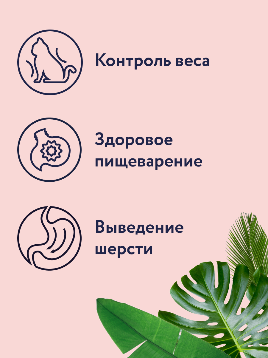 FLORIDA Сухой корм для стерилизованных домашних кошек с телятиной и дыней, Indoor Sterilised 33 Veal, 3+1 кг — фото 1