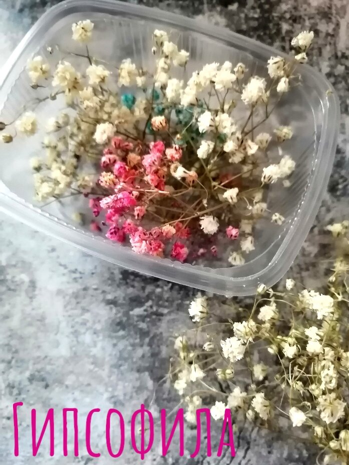 Сухоцветы гипсофила 250 мл