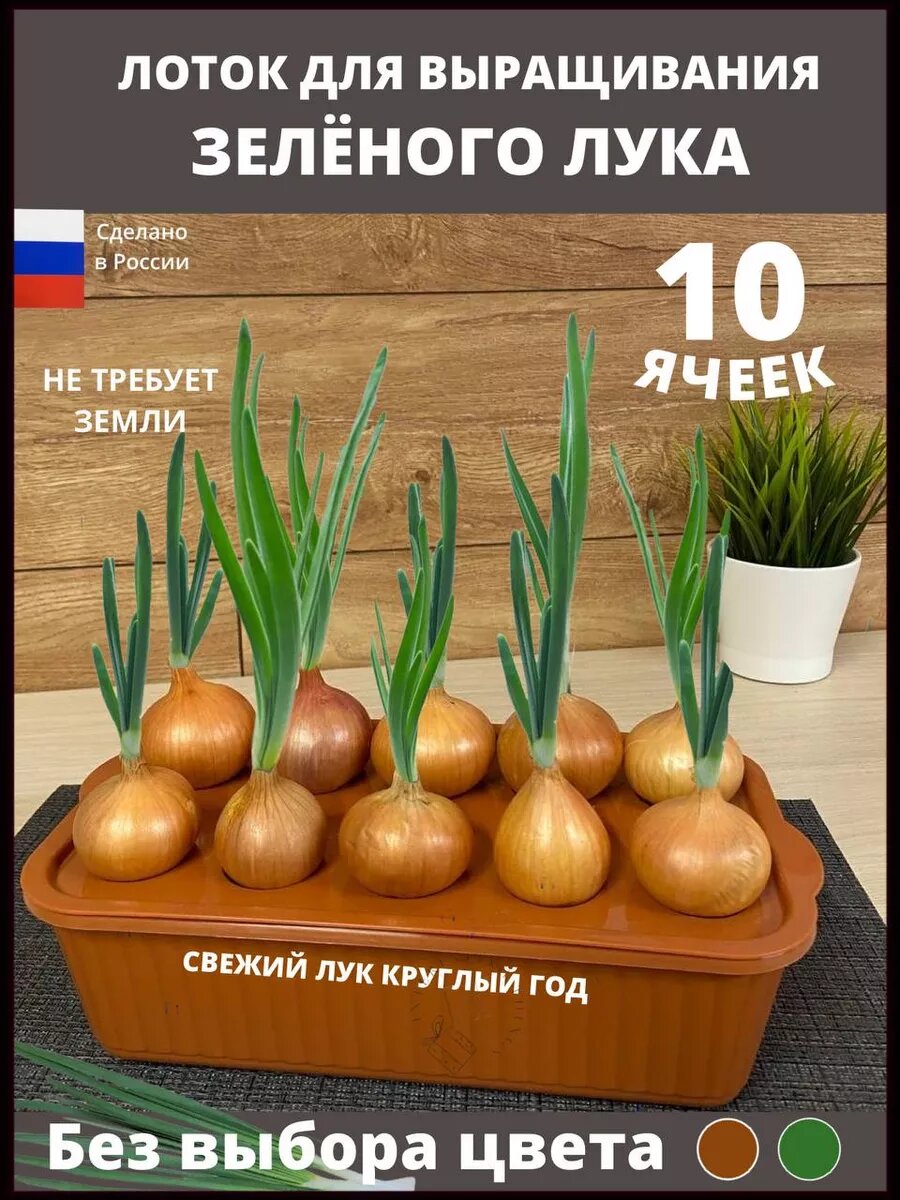 Контейнер для выращивания лука