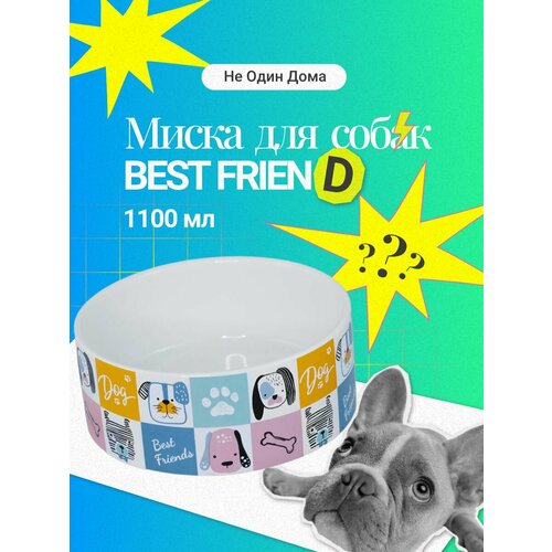 Миска для кошек, для собак, для животных, "Не Один Дома" Best friend, M, разноцветный, 17,5х17,5х7 см