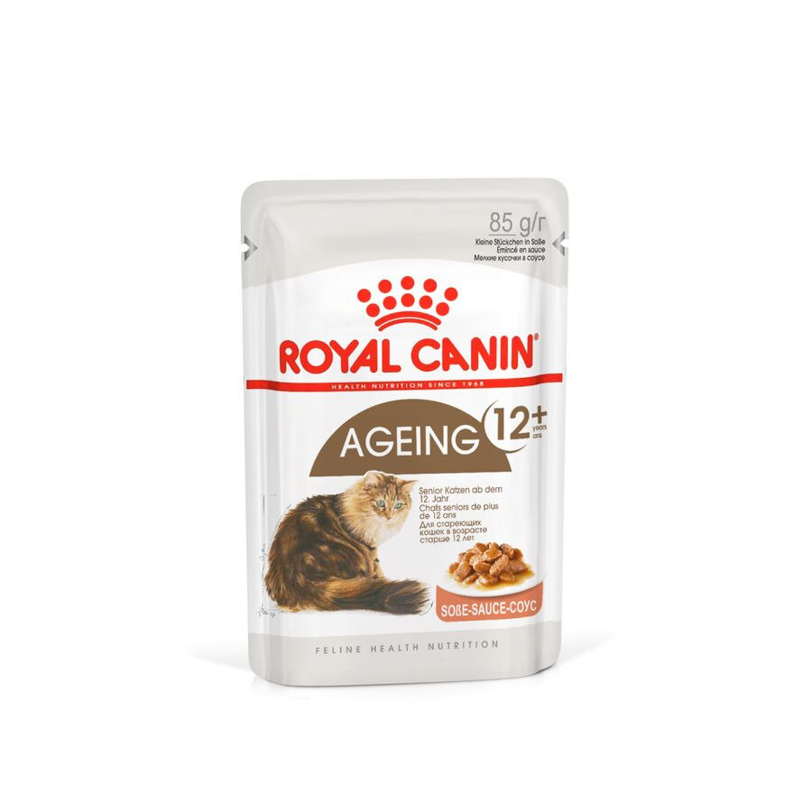 BRoyal Caninb Ageing 12 для пожилых кошек старше 12 лет желе, соус, в паучах 85 г