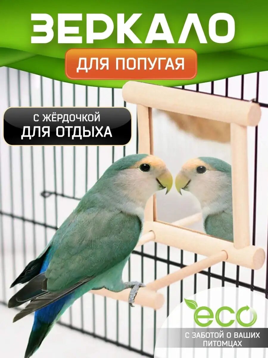 Зеркало игрушка для попугая в клетку с жердочкой