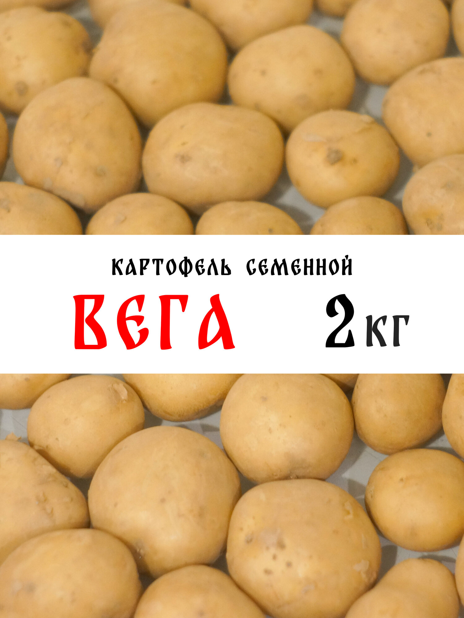 Картофель семенной Вега 2 кг
