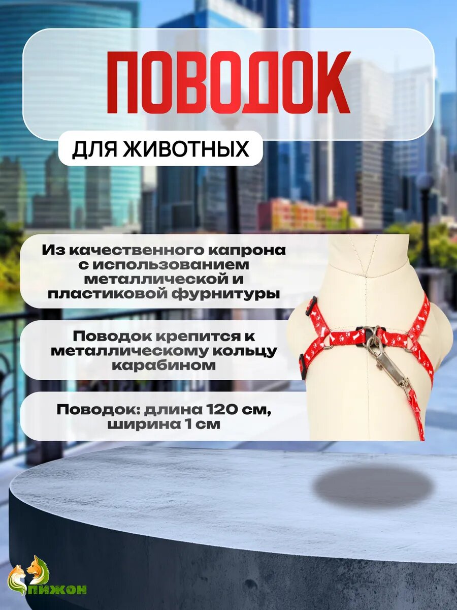 Картинки Комплект "Классика", капрон, поводок 120 х 1 см, ОГ 21-35 см, красный