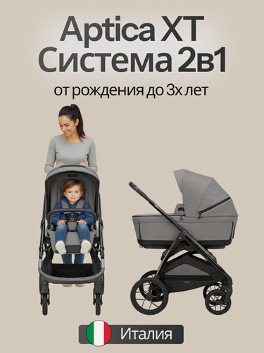Изображение товара Коляска 2 в 1 Inglesina Aptica XT Canyon Grey