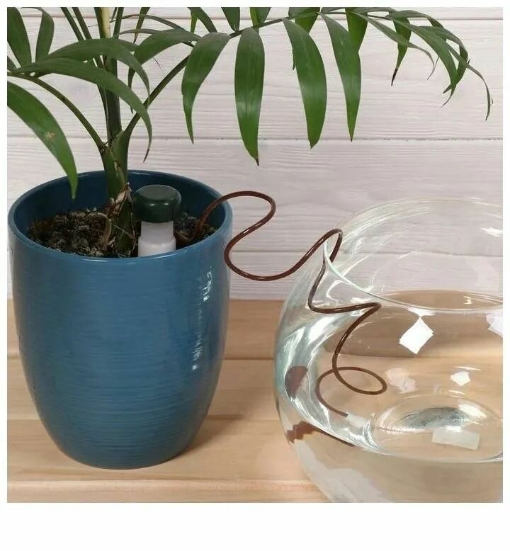 Изображение Argus Garden / Авто-полив для комнатных растений, малых теплиц и парников, комплект 2 упаковки (4штуки). Автополив керамический.
