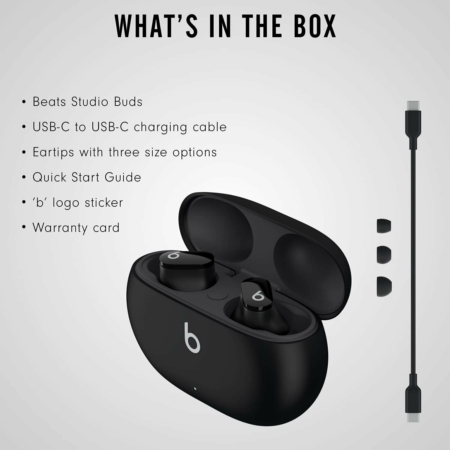 beats type c